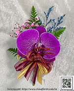 �s��:H00128�@ - �������ݪ�