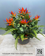 編號:artf00051 - 人造花_天堂鳥盆花