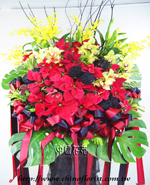 �s��:M00224 - �ڦ����N�C�Ϫ��x