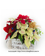 編號:N00002 - 聖誕紅組合盆裁