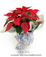 �s��:N00003 - �t�Ϭ��ֵ�