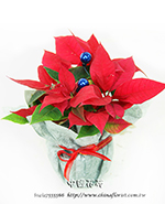 �s��:N00005 - �t�Ϭ��զX�ֵ�