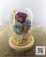 �s��:PB0002 - �åͪ�֪�02-���֥û����[