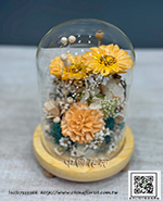 編號:PB0021 - 永生花盆花21-祝福永遠長久