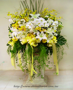 �s��:AD00135ù���W - ù���W