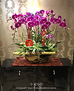 �s��:EP005828 - ������