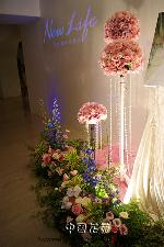 �s��:m005 - ���B�|�� 